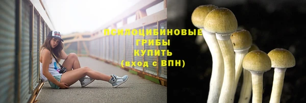 герыч Верхний Тагил