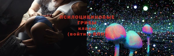 прущий лед Верея